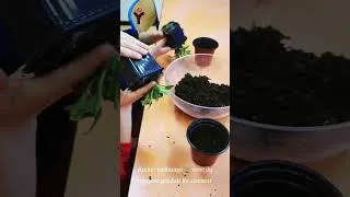 Miniature : Atelier de tri à l'école Jules Verne à Croissy-sur-Seine #shorts