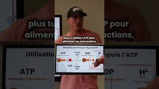 Miniature : La VRAI cause de la Fatigue Musculaire