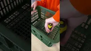 Miniature : How to mount a crate on a MIK HD rear rack?