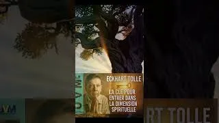 Miniature : Eckhart tolle L’essence du Zen