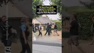Miniature : VICTOIRE pour ces militants, qui parviennent à empêcher l’abattage de six tilleuls !