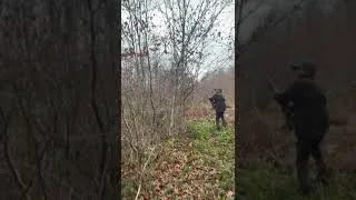 Miniature : Spartakus Du Val D'ondaine à la bécasse