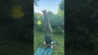 Miniature : Monter sur la tête jambes tendues
