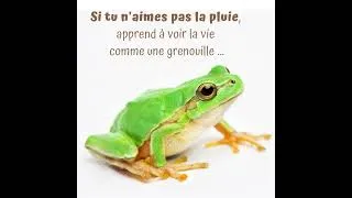 Miniature : 🐸💦 Et si vous apprenez à voir la vie autrement ?
