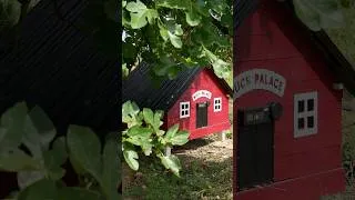 Miniature : Après le Duckingham Palace, comment appelle-t-on la future cabane à poulettes ? #canards #ducks