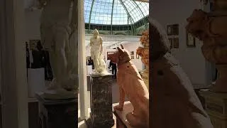 Miniature : Fine Arts Paris épisode 1 réalisation Valerio Truffa