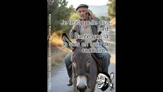 Miniature : La macagne est en route ! Même sur un âne, on ne téléphone pas ! on rigole pas avec la sécurité