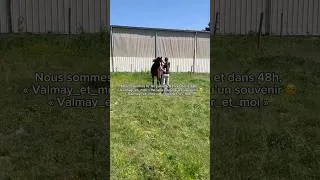 Miniature : Il est grand temps 🙏🥹 #horse #équitation #prt #fyp #poney #cheval