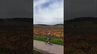 Miniature : le temps file... alors je roule et je contemple 🚲 #lafrancesstbelle