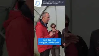 Miniature : BOOSTER SES RENDEMENTS GRÂCE À L'ÉLECTROMAGNÉTISME ? - Portrait de ferme : Ferme du Knolpré