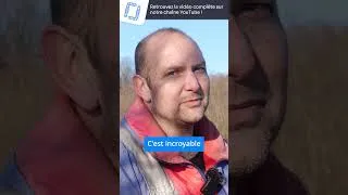 Miniature : Un système de clôtures efficace pour l'élevage bovin - Portrait de Ferme : Lait P'tits Béarnais