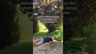 Miniature : Les bonnes nouvelles de la semaine