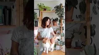 Miniature : Le retour au format horizontal