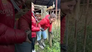 Miniature : La vidéo date d’il y a quelques mois 😂 Elle va beaucoup mieux ! #humour #bff #bestfriend