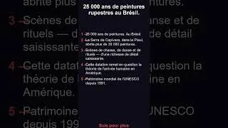 Miniature : 25 000 ans de peintures rupestres au Brésil.