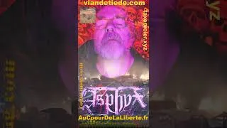 Miniature : Short Tiède  - 1 - Le jeu des 7 différences : fiscalité et racket