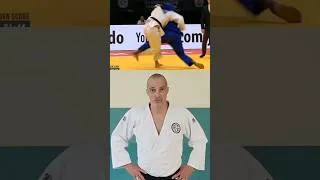 Miniature : Le dossard BLEU en judo