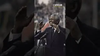 Miniature : Nelson Mandela