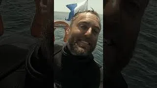 Miniature : Un avion rafale passe juste au dessus du bateau