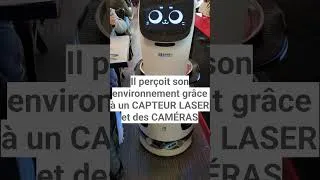Miniature : Rencontre avec un ROBOT SERVEUR 😲