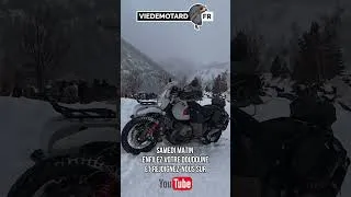 Miniature : Teaser - Hivernale des marmottes