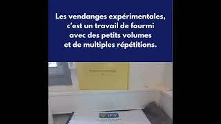 Miniature : Vendange Pech Rouge