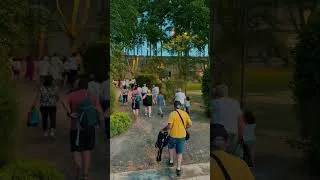 Miniature : Le ciel de Cavaillon s’illumine le 13 juillet !