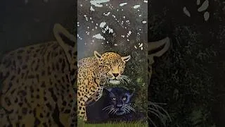 Miniature : Exposition Fragments : à découvrir jusqu’au 2 mai