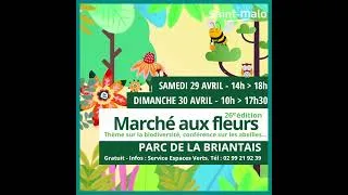 Miniature : Marché aux Fleurs 2023