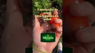 Miniature : 3 méthodes faciles pour réussir le semis des légumes du soleil ☀️  |  Vilmorin x Bobtaniste