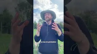 Miniature : Quand et comment semer des courges au potager | Conseils & Astuces 🌱 | Vilmorin x Bobtaniste