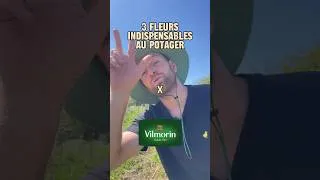 Miniature : 3 fleurs indispensables au potager | Conseils & Astuces 🌸  - Vilmorin x Bobtaniste