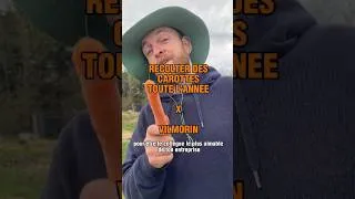 Miniature : Quand et comment semer des carottes au jardin et quelles carottes choisir 🥕 - Vilmorin x Bobtaniste