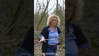 Miniature : HISTOIRE DE RÉSOLUTION : IMPLICATION DANS LA COMMUNE