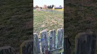 Miniature : Jour 19 🇺🇸🚴‍♂️ : Merci au BULDOGS de Douglass dans le Kansas pour la nuit