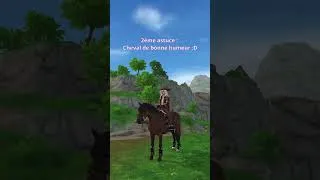Miniature : Comment réussir un championnat sur Star Stable ! 🫣 #starstable #sso #starfam #starstableonline #tuto