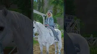 Miniature : Je vous raconte mon parcours (anecdotes, stages, vacances...) équestre ! 🤍  #starstable  #starfam