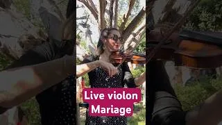 Miniature : Mariage de rêve à Lourmarin #mariage #violin #weddingmusic #violinist