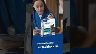Miniature : Attention les puces et les tiques sont là ! Découvrez le collier antiparasitaire Prevexto pour chat