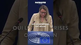 Miniature : Pendant que les géants américains prospèrent, nos entreprises étouffent ! #viral #europe #france