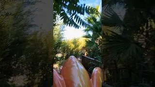 Miniature : Quand tu finis au galot sur une plante géante au Parc Spirou😂 🌸