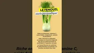 Miniature : Le fenouil