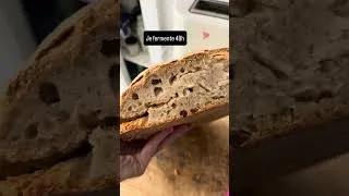 Miniature : Pain au levain fait maison
