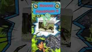 Miniature : 0.6- Un nouvel aquarium ?!