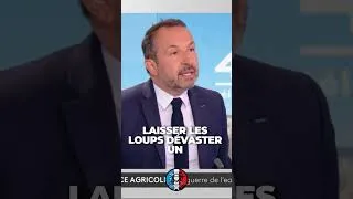Miniature : Un Député RN TACLE Les Ecolos