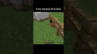 Miniature : NE VÉRIFIEZ PAS LE SON ! #minecraft #minecraftshorts #minecraftmemes