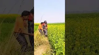 Miniature : भौजी ये जगह ठीक है Sarita Bhauji jaunpuriya #shorts #shortsviral #youtubshorts
