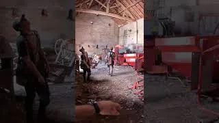 Miniature : Fauconnerie : Une grange envahie par les pigeons