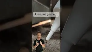 Miniature : Une invasion de fourmis par centaines sur des rideaux