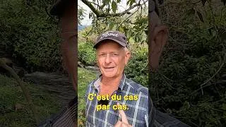 Miniature : Envie de quitter l'Europe ? L’Équateur vous accueille 🇪🇨